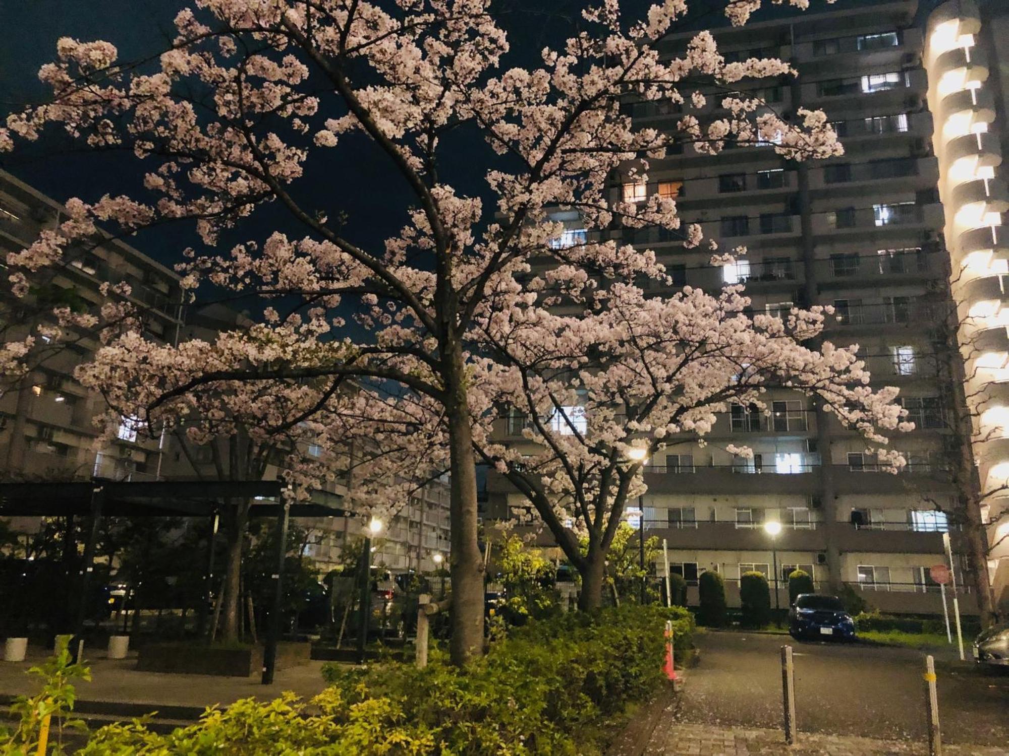 Jl 東京 House - 駐車場付き築浅のまるごと貸切住宅 Tóquio Exterior foto